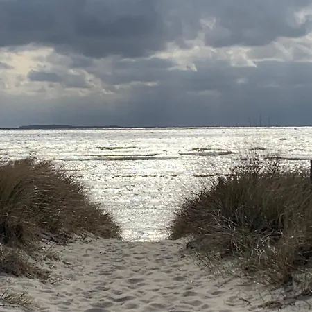 Apartment Urlaub Mit Hund Goehren (Ruegen)