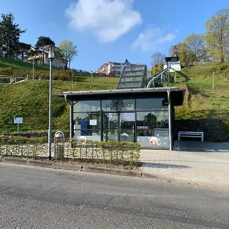 Goehren Urlaub Mit Hund