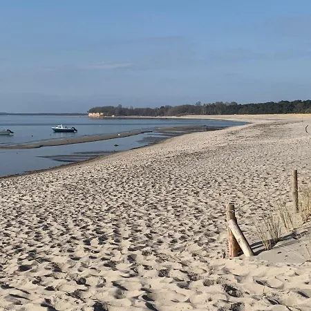 Goehren Urlaub Mit Hund Apartment